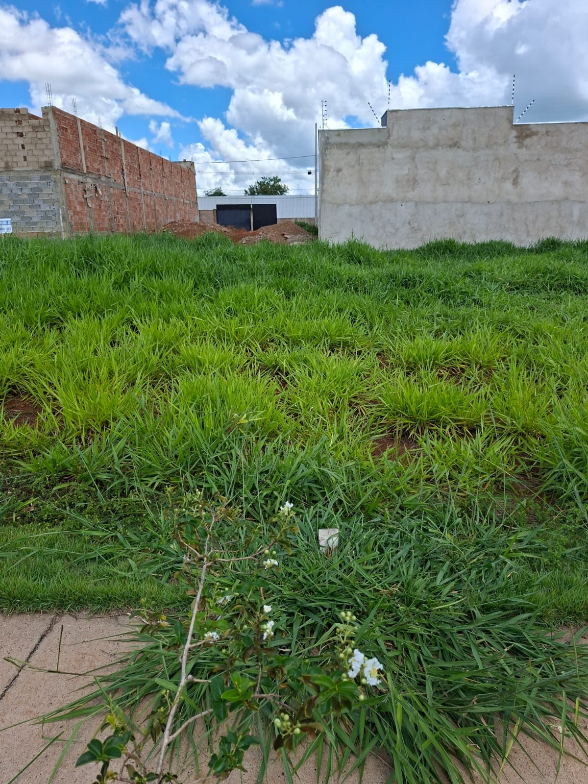 Vizinhança Construída